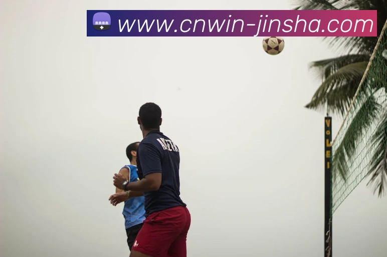 多媒体互动体验